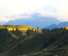 AYX Sports-月考经验分享发言稿