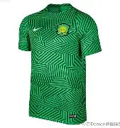 预测-纽卡斯尔发布备战花絮,今夜刷新队史纪录,法甲任务艰巨,球探报告显示潜力(伊朗以色列冲突最新消息)